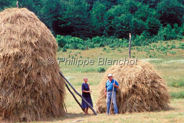 croatie 22.JPG - Couple de cultivateursFenaison, agriculture traditionnelleDalmatie du NordCroatie